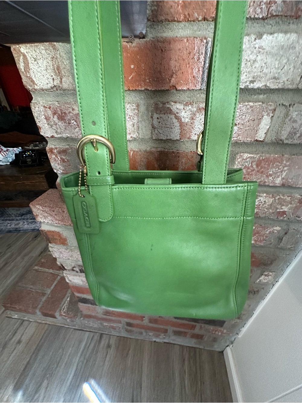Coach Green leaf waverly soho